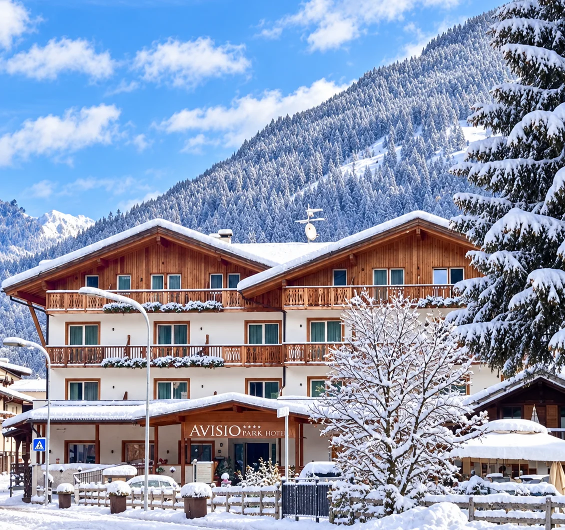Park Hotel Avisio****_170