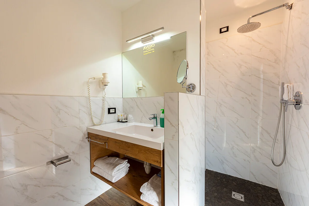 Park Hotel Avisio_96