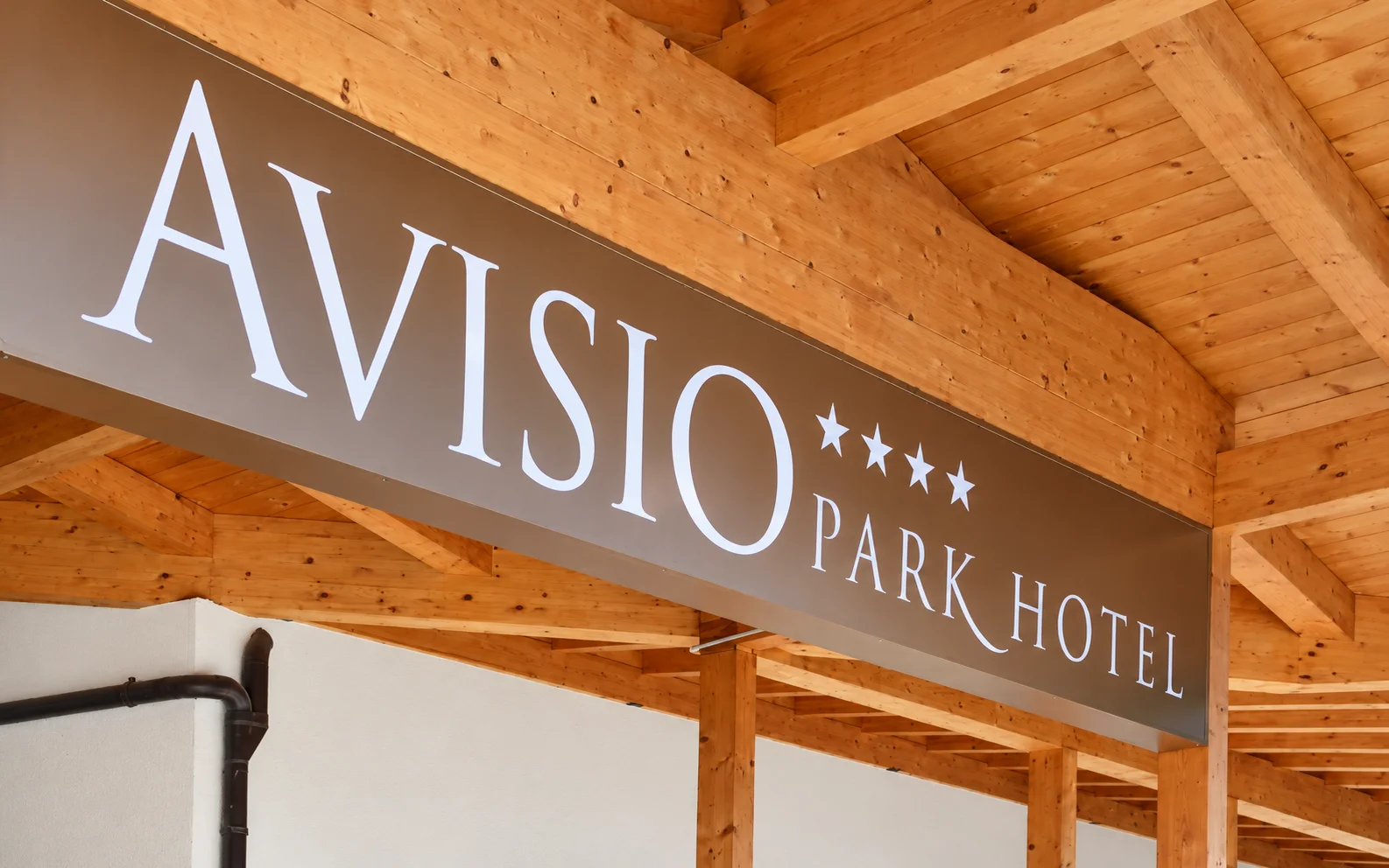 Park Hotel Avisio****_00